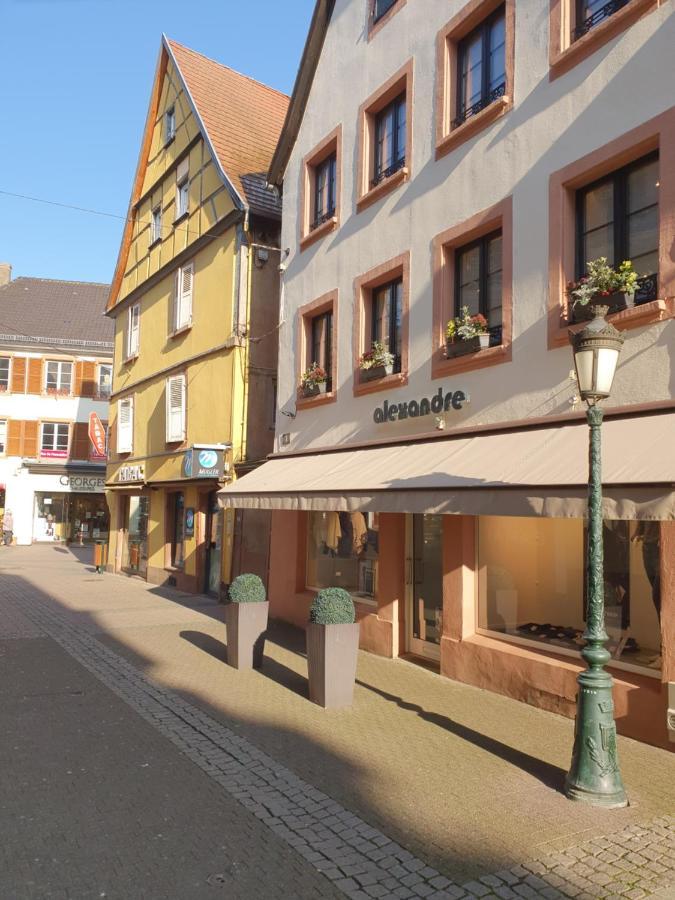Chic & Cosy Lägenhet Haguenau Exteriör bild